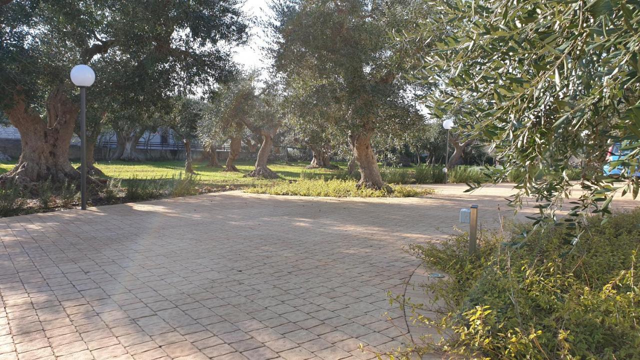 Tra Gli Ulivi Villa Putignano Bagian luar foto