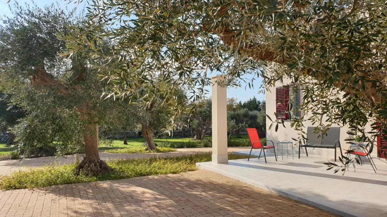 Tra Gli Ulivi Villa Putignano Bagian luar foto